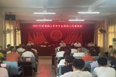 凤都镇开展安然“三率”宣传勾当共建协